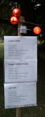 Luyten 726-8 und +36 2147